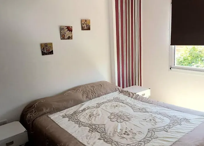 Departamento Aniceto Latorre